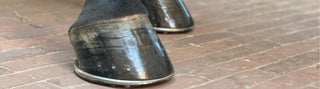 Two shiny, healthy, shod horse hooves
