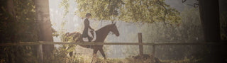 A woman in riding clothes rides through the forest on a brown horse