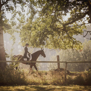 A woman in riding clothes rides through the forest on a brown horse