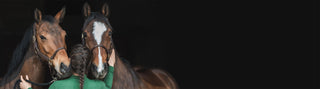 A woman with braided hair stands with her back to the camera between two brown horses with halters