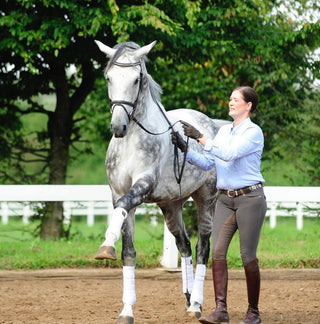 A woman in riding clothes trains with a horse in the paddock