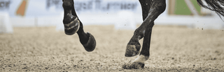 Promoting Hoof Growth: How to Help Horse Hooves Grow Healthily and Quickly